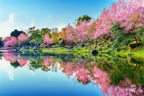Horoscopes and Lucky Numbers for today, Monday 1 July 2024.